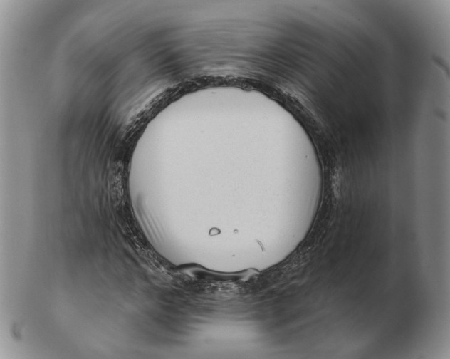 X0000103150968200809121812