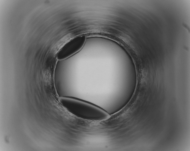 X0000103150969200809121812