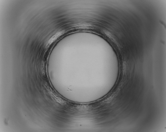 X0000103150970200809121812