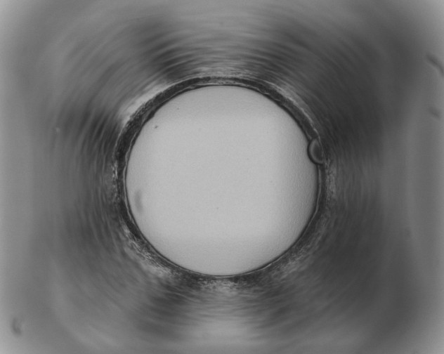 X0000103150971200809121812