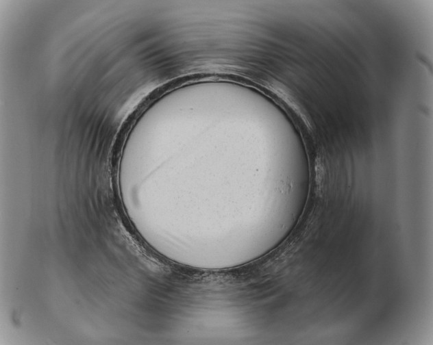 X0000103150972200809121812