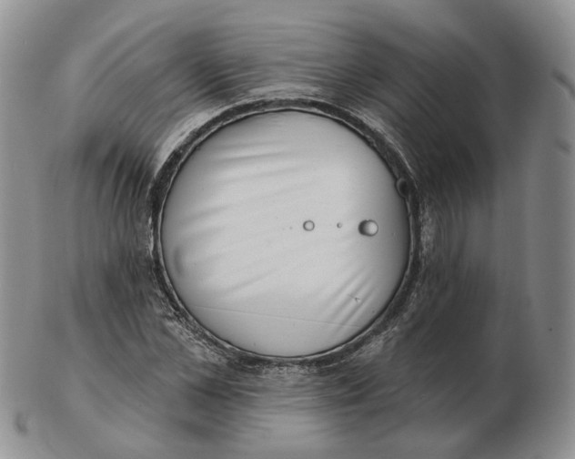 X0000103150973200809121812