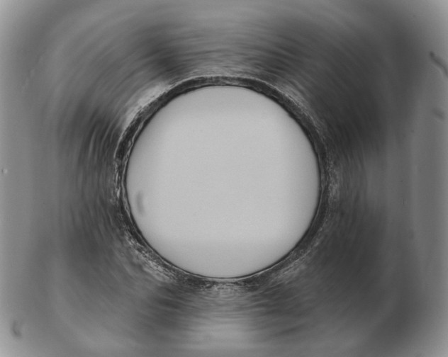 X0000103150974200809121812