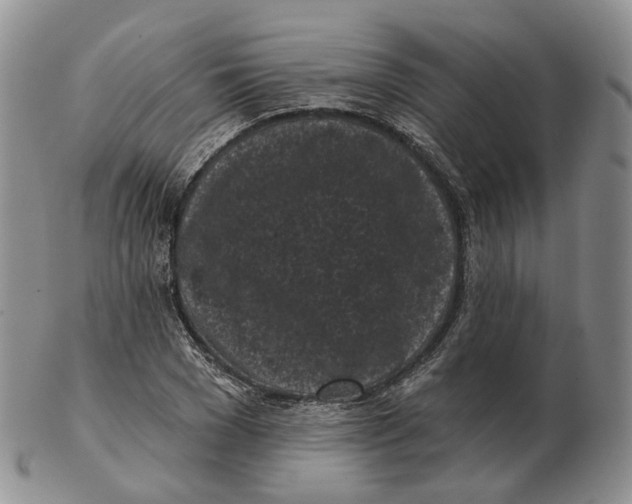 X0000103150977200809121812