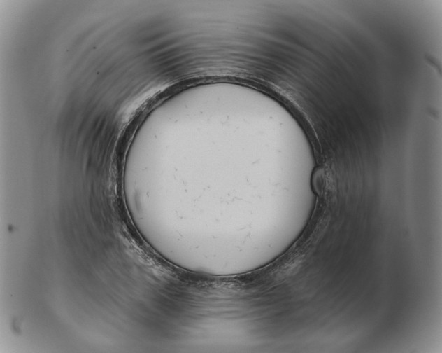 X0000103150979200809121812