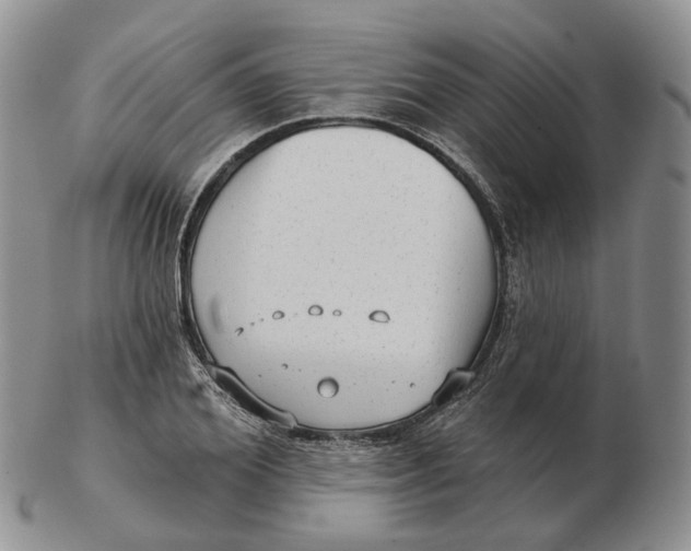 X0000103150980200809121812