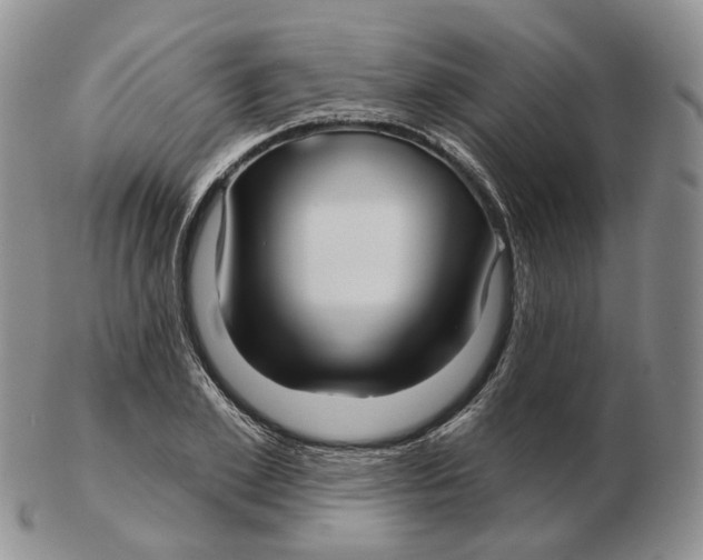 X0000103150981200809121812