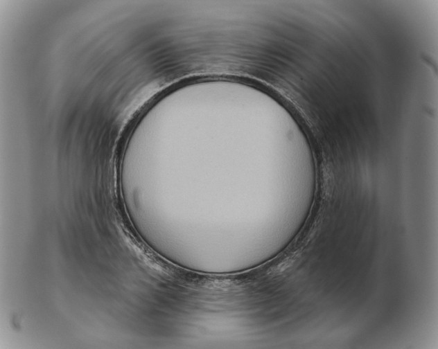 X0000103150982200809121812