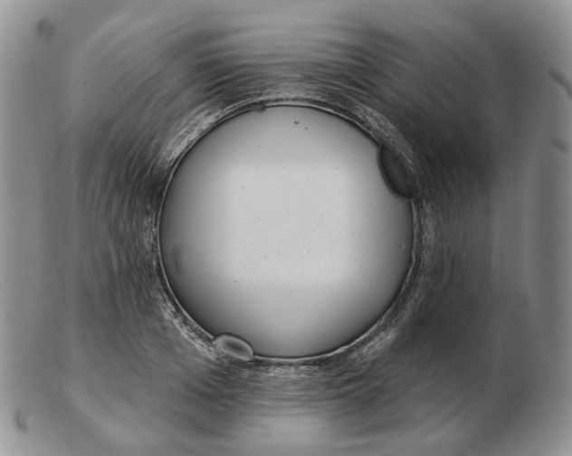 X0000103150985200809121812