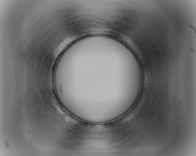 X0000103150986200809121812