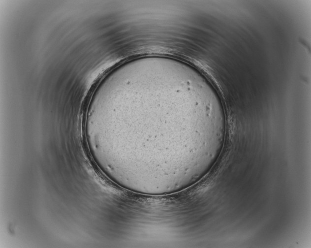 X0000103150987200809121812