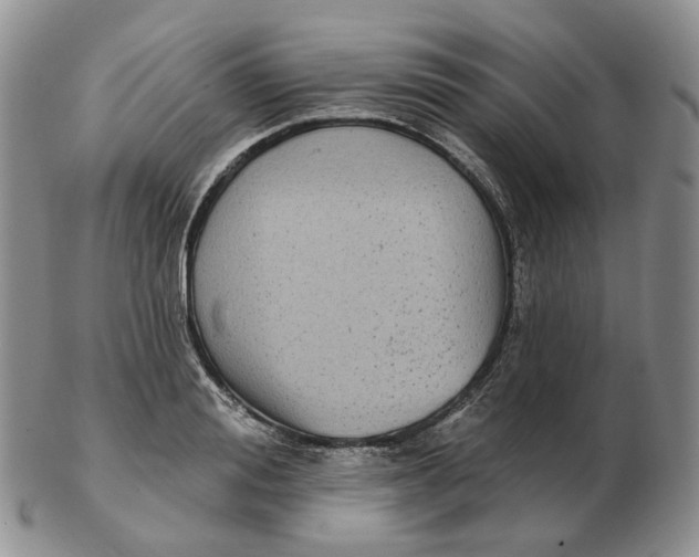 X0000103150988200809121812