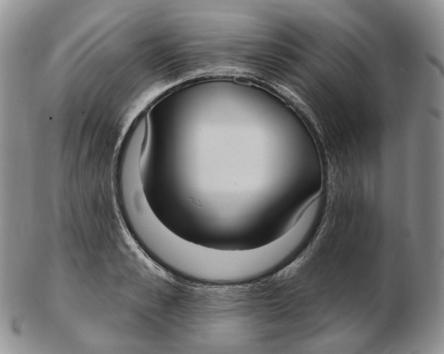 X0000103150989200809121812