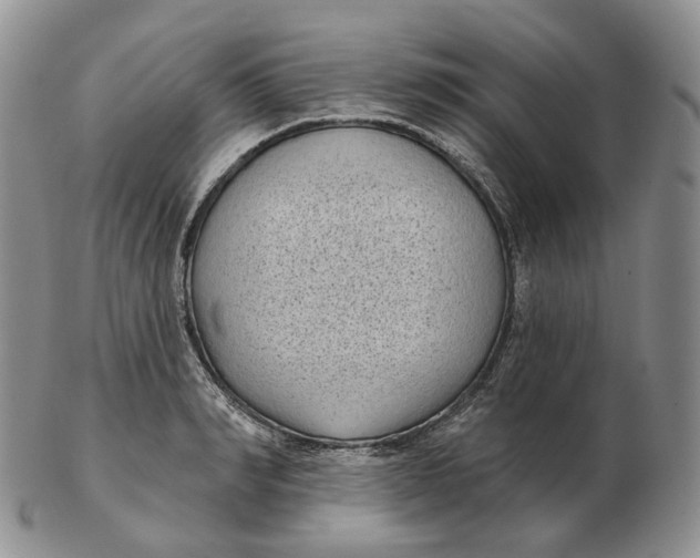 X0000103150990200809121812