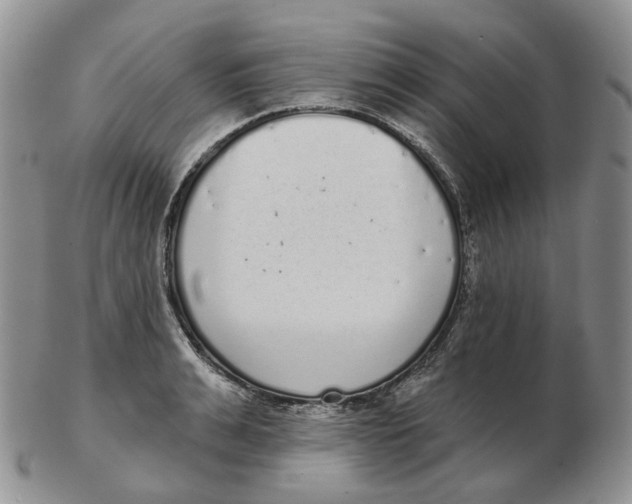 X0000103150991200809121812