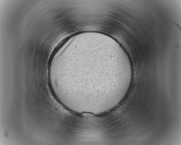 X0000103150992200809121812