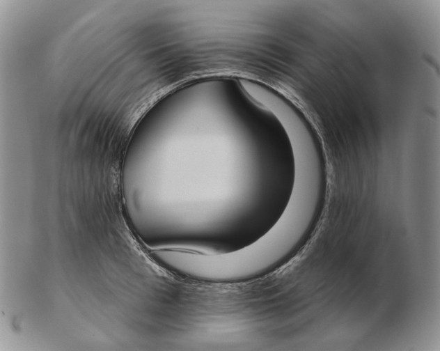 X0000103150993200809121812