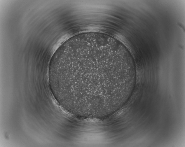 X0000103150994200809121812