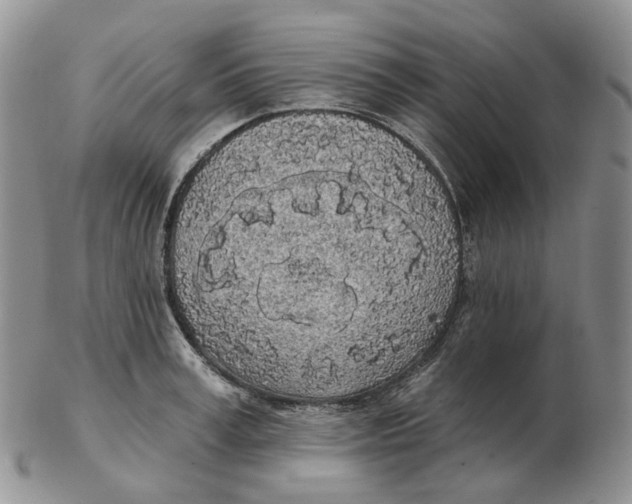 X0000103150995200809121812