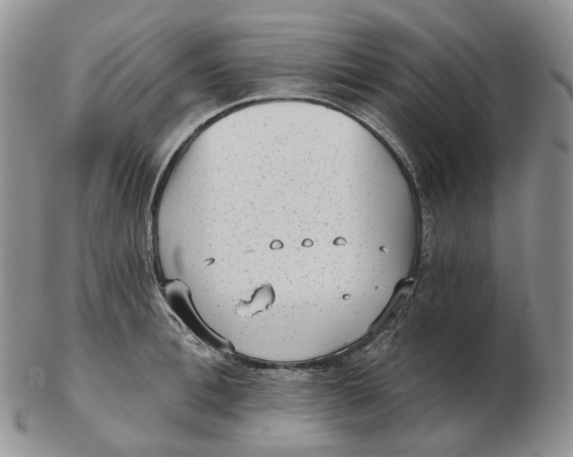 X0000103150996200809121812