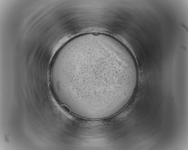 X0000103150997200809121812