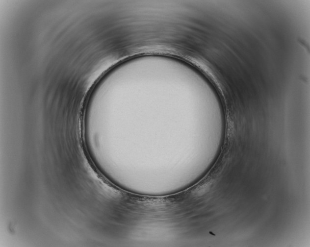 X0000103150999200809121812