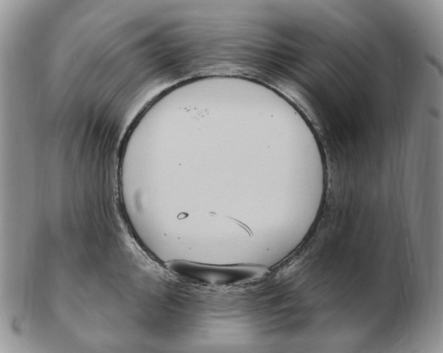 X0000103151000200809121812