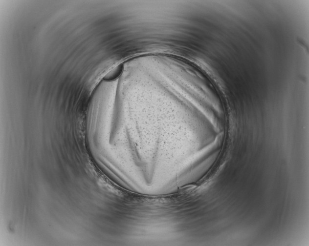 X0000103151001200809121812