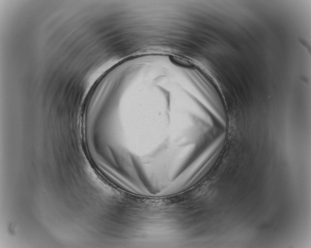 X0000103151003200809121812