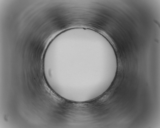 X0000103151004200809121812