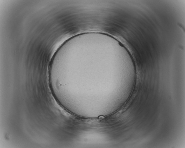 X0000103151006200809121812