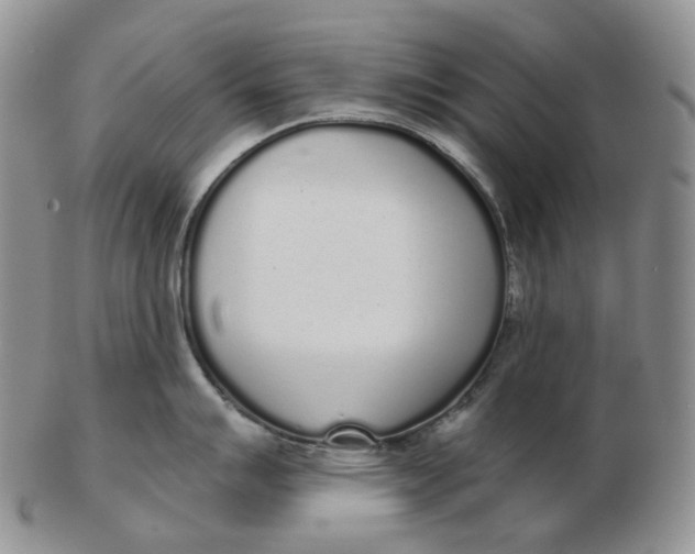 X0000103151007200809121812