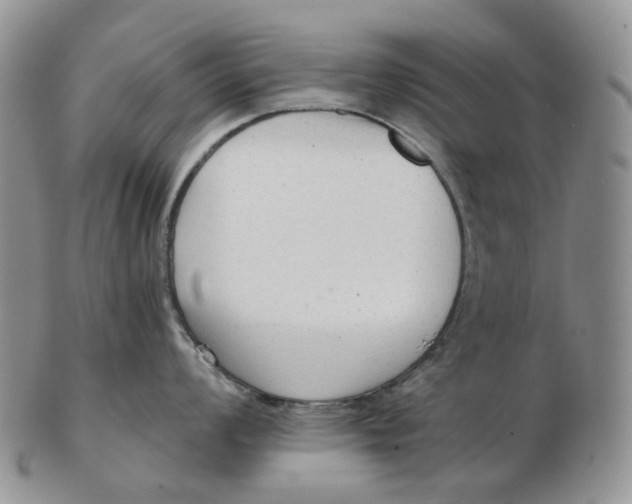 X0000103151008200809121812