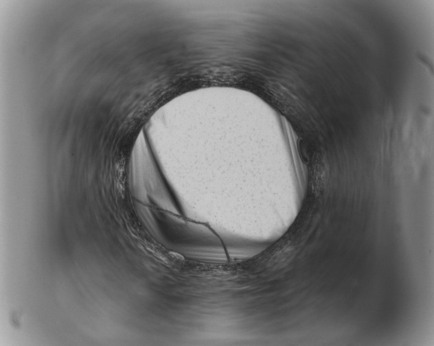 X0000103151010200809121811