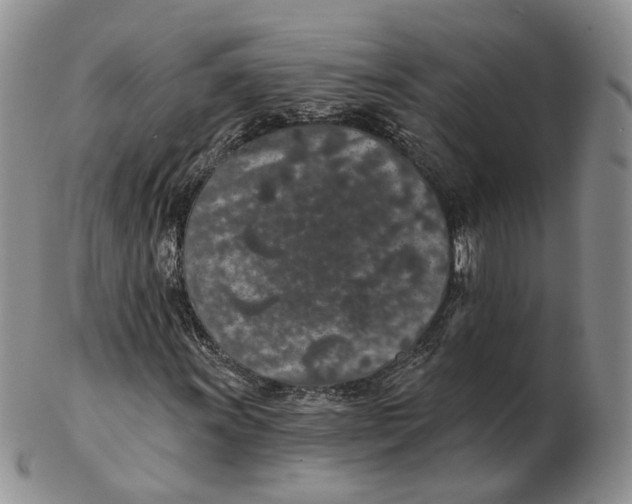 X0000103151011200809121811