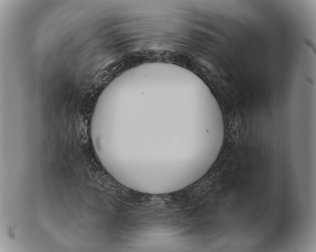 X0000103151013200809121811