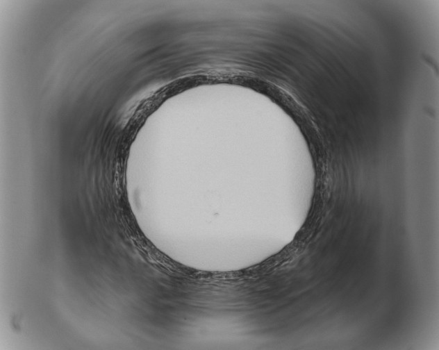 X0000103151016200809121811