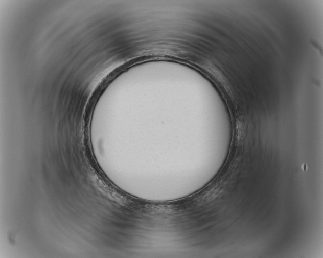 X0000103151020200809121811