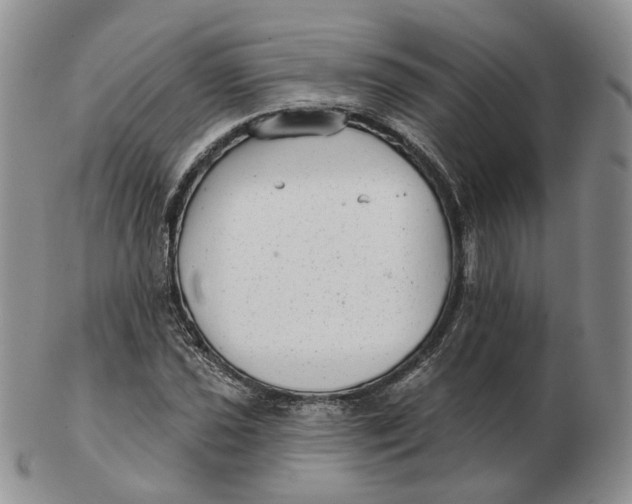 X0000103151021200809121811