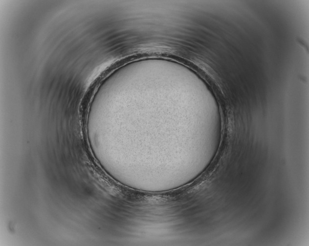 X0000103151022200809121811