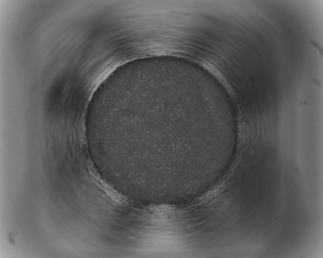 X0000103151023200809121811