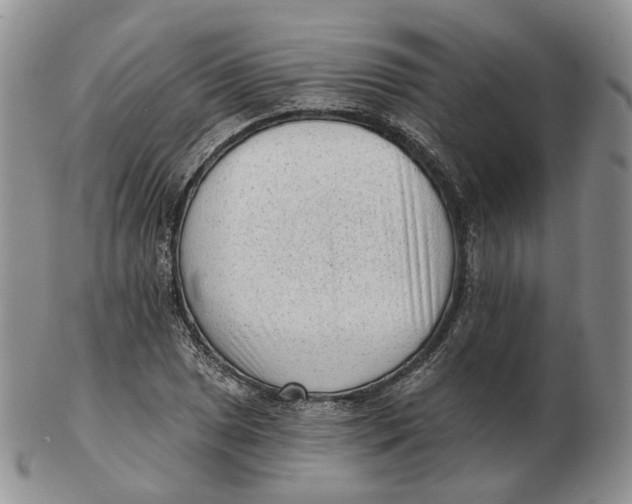 X0000103151025200809121811