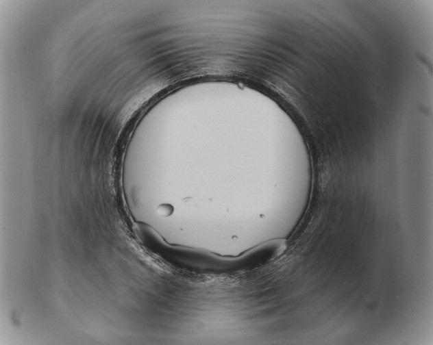 X0000103151026200809121811