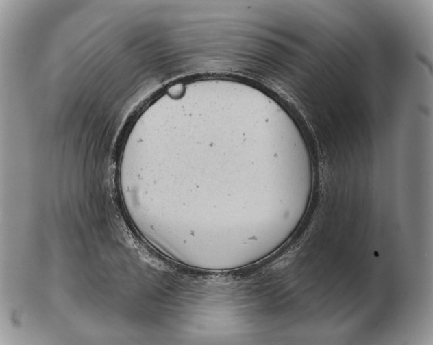 X0000103151029200809121811