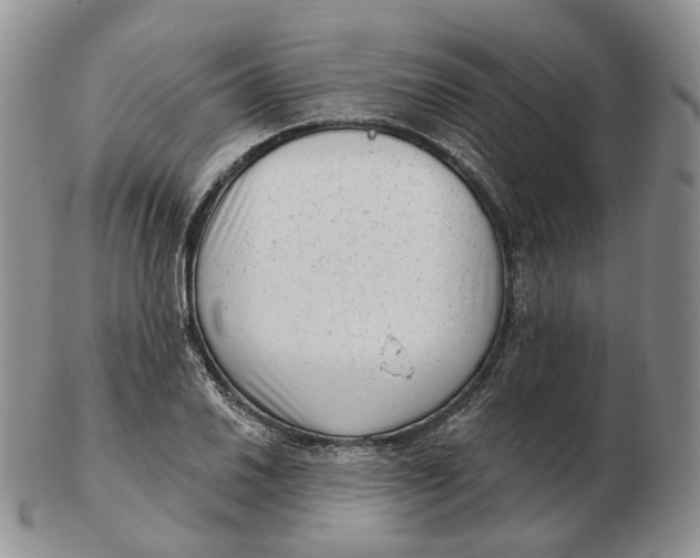 X0000103151030200809121811