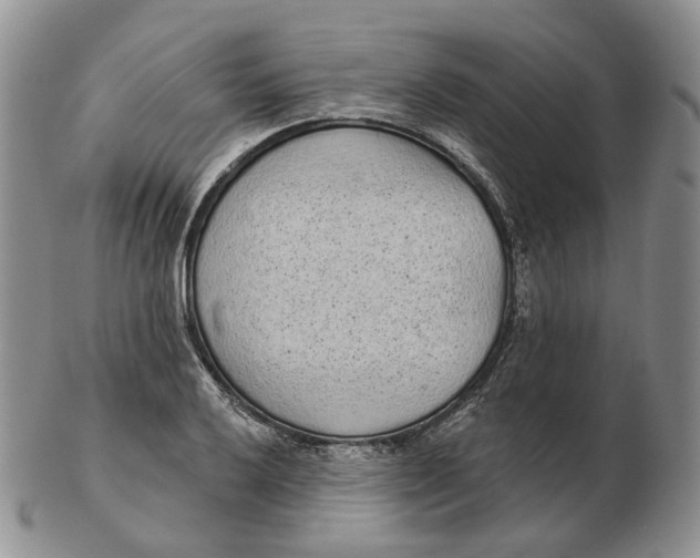 X0000103151032200809121811