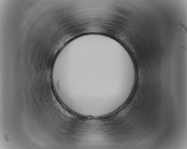 X0000103151033200809121811