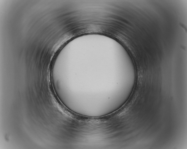 X0000103151034200809121811