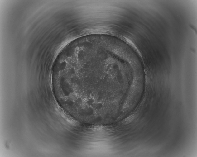 X0000103151035200809121811