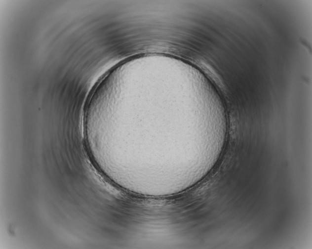 X0000103151036200809121811